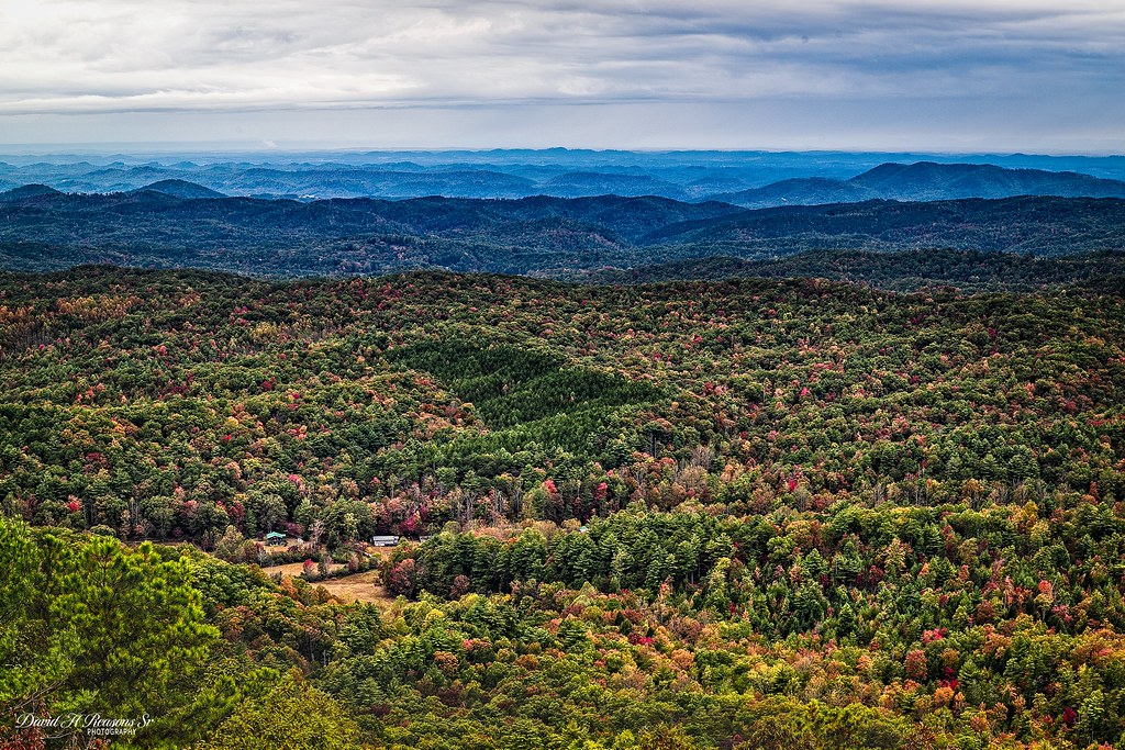 Elevation of Old Furnace Rd, Tellico Plains, TN, USA Topographic Map
