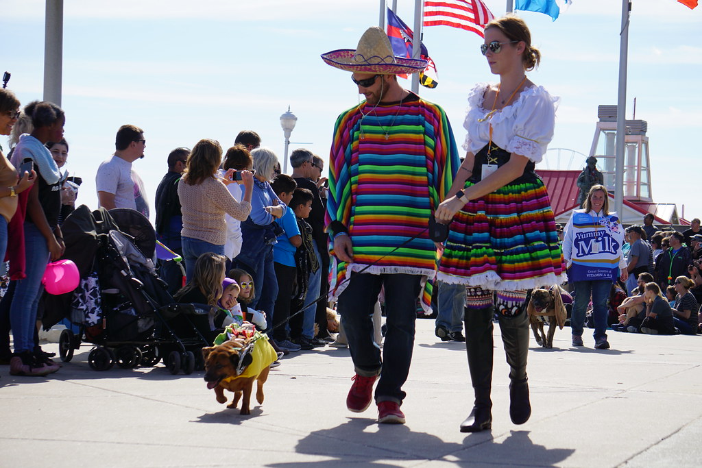 Beach Maze & Pet Parade 2019 Ocean City, MD Town of Ocean City Flickr