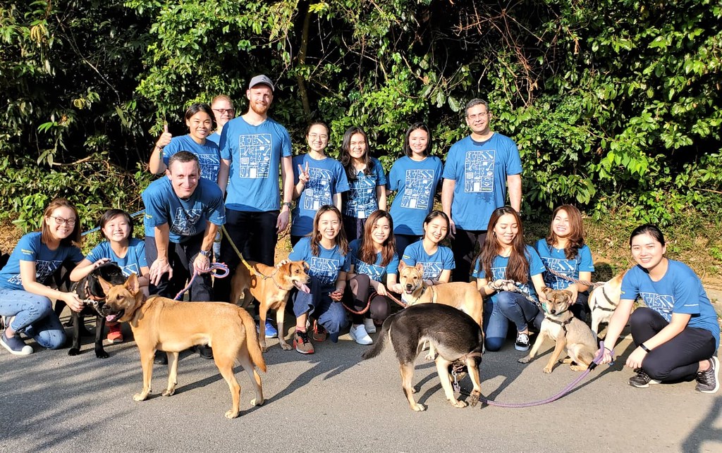 Hong Kong Dog Kennel Walk with HK Dog Rescue Flickr