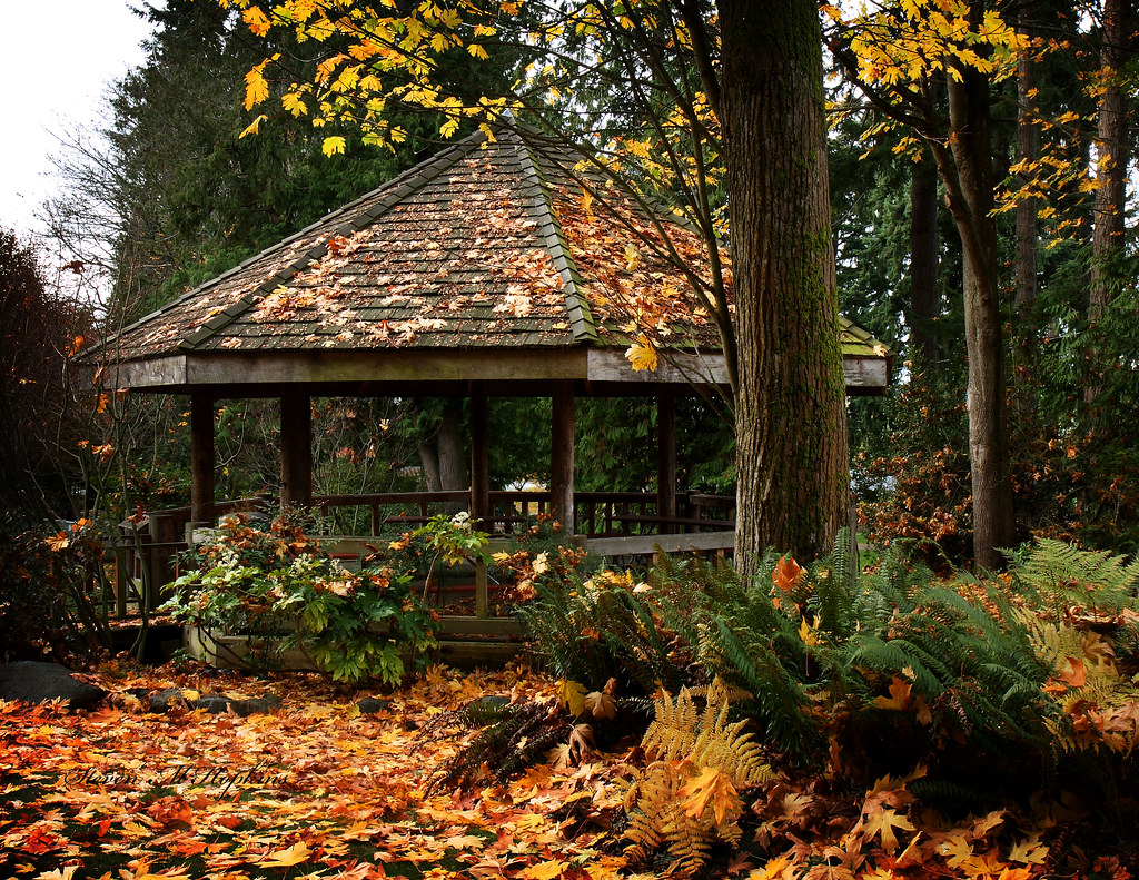 Gazebo Located in Edmonds City Park Steven Hopkins Flickr