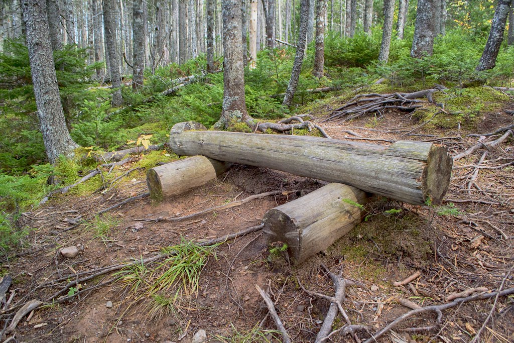 Nine Mile River Trail Hiking Trails Map, Guide & Virtual Tour NS