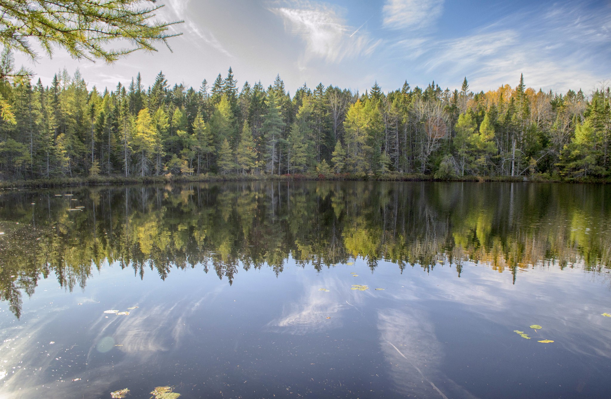 Photos Nine Mile River Hiking Trails Nova Scotia HalifaxTrails.ca