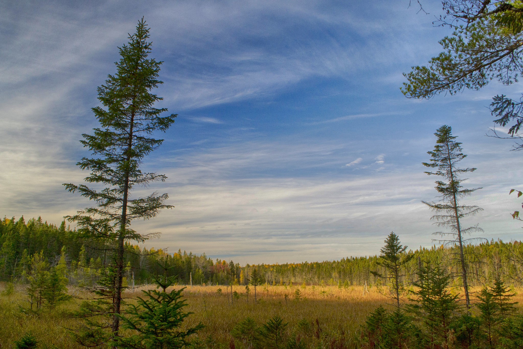 Photos Nine Mile River Hiking Trails Nova Scotia HalifaxTrails.ca