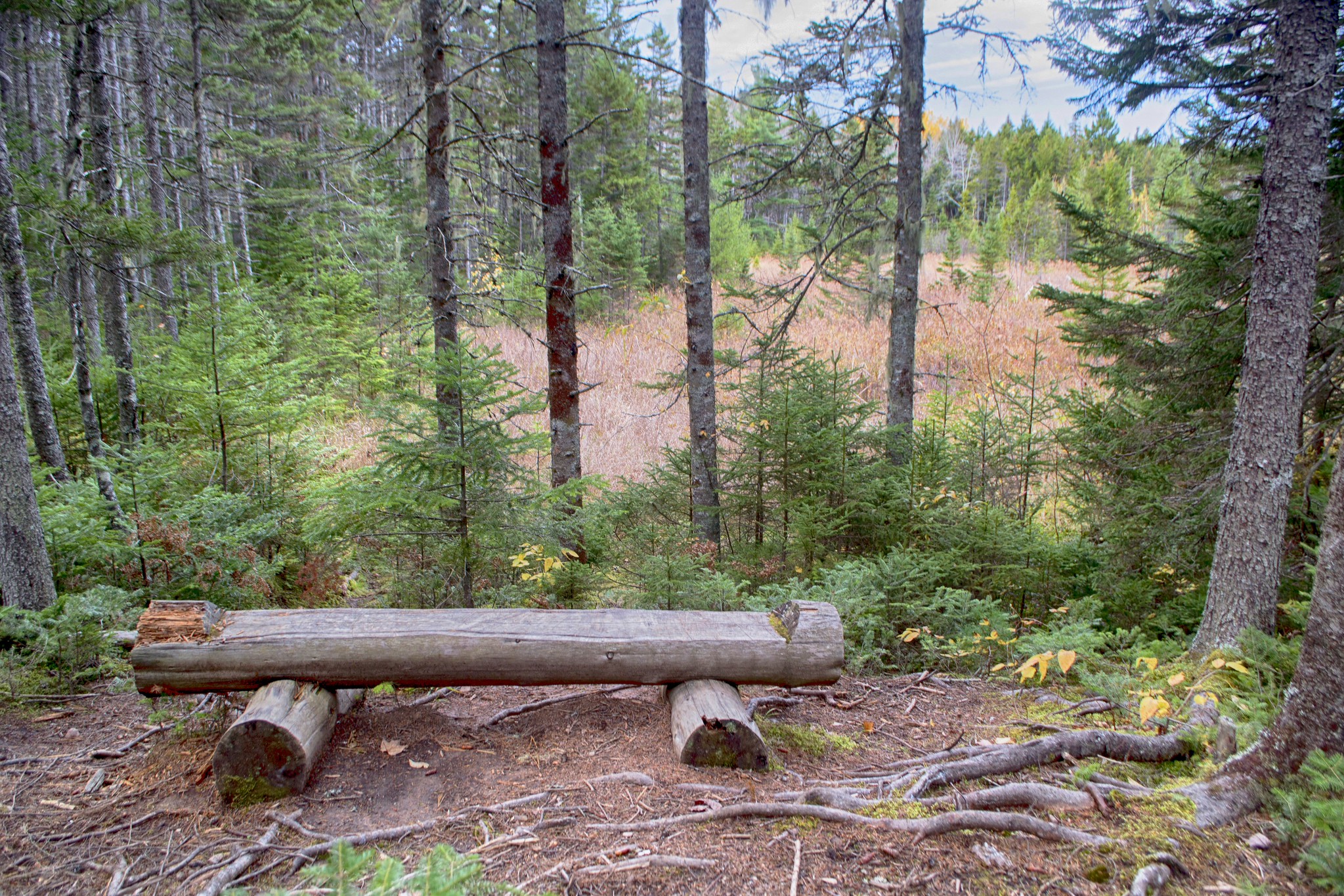 Photos Nine Mile River Hiking Trails Nova Scotia HalifaxTrails.ca
