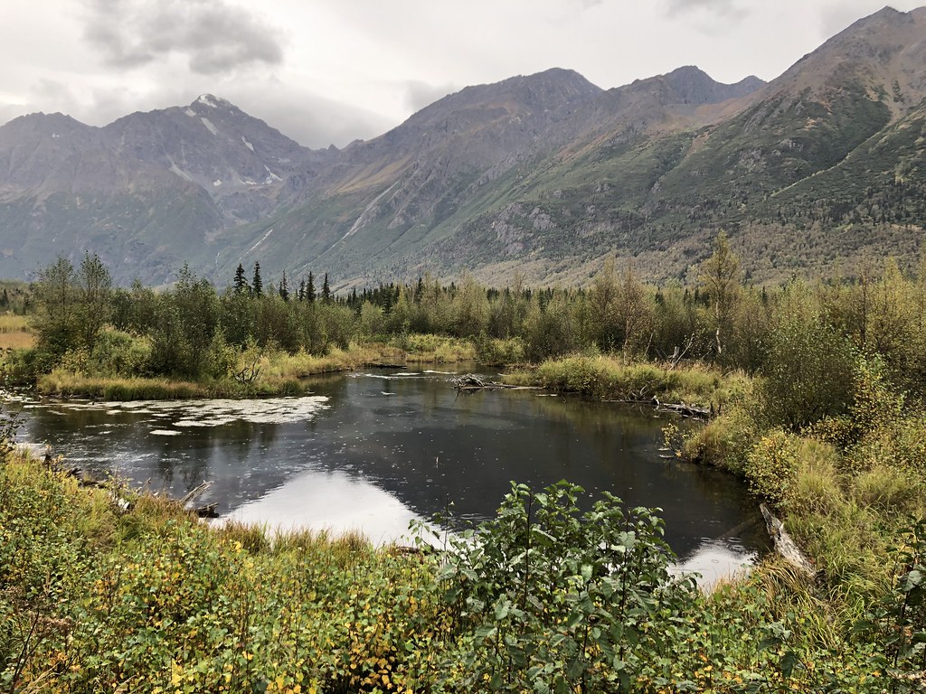Eagle River Nature Center, Alaska Mike Blust Flickr