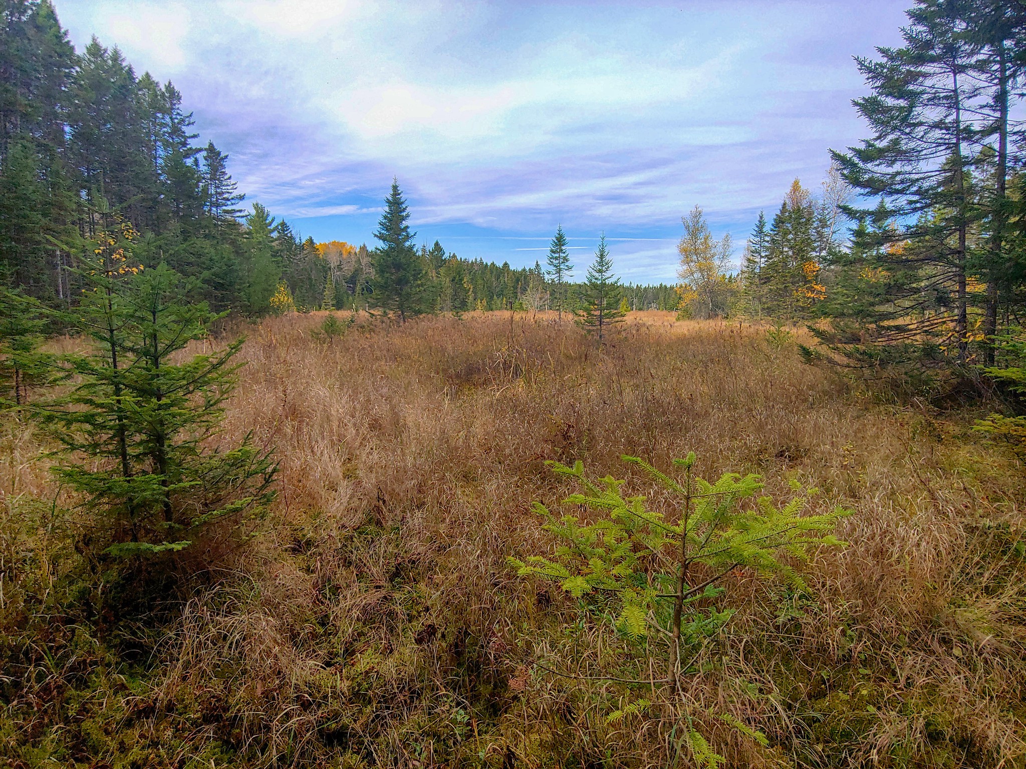Photos Nine Mile River Hiking Trails Nova Scotia HalifaxTrails.ca