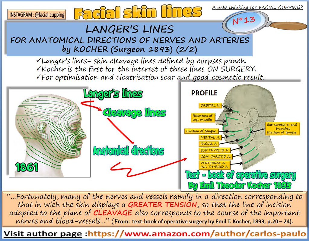 facial skin lines n°13 FACIAL SKIN LINES N°13 Langer's lin… Flickr
