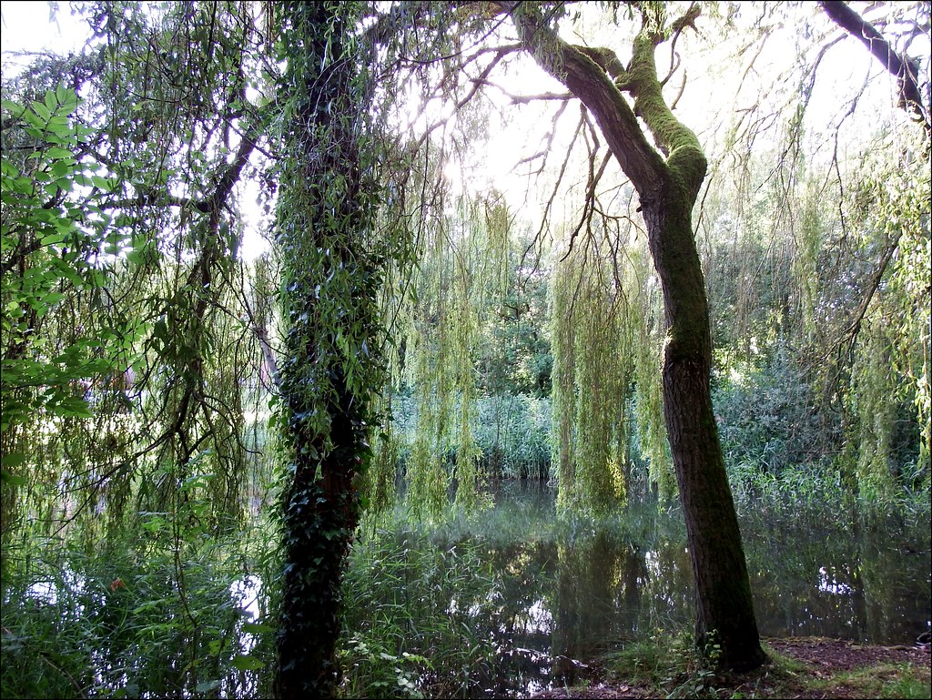 Grange pool Telford park with lizzie 091019 ©Liz Callan (1… Flickr