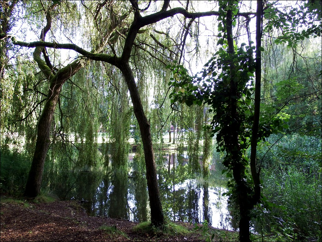 Grange pool Telford park with lizzie 091019 ©Liz Callan (1… Flickr