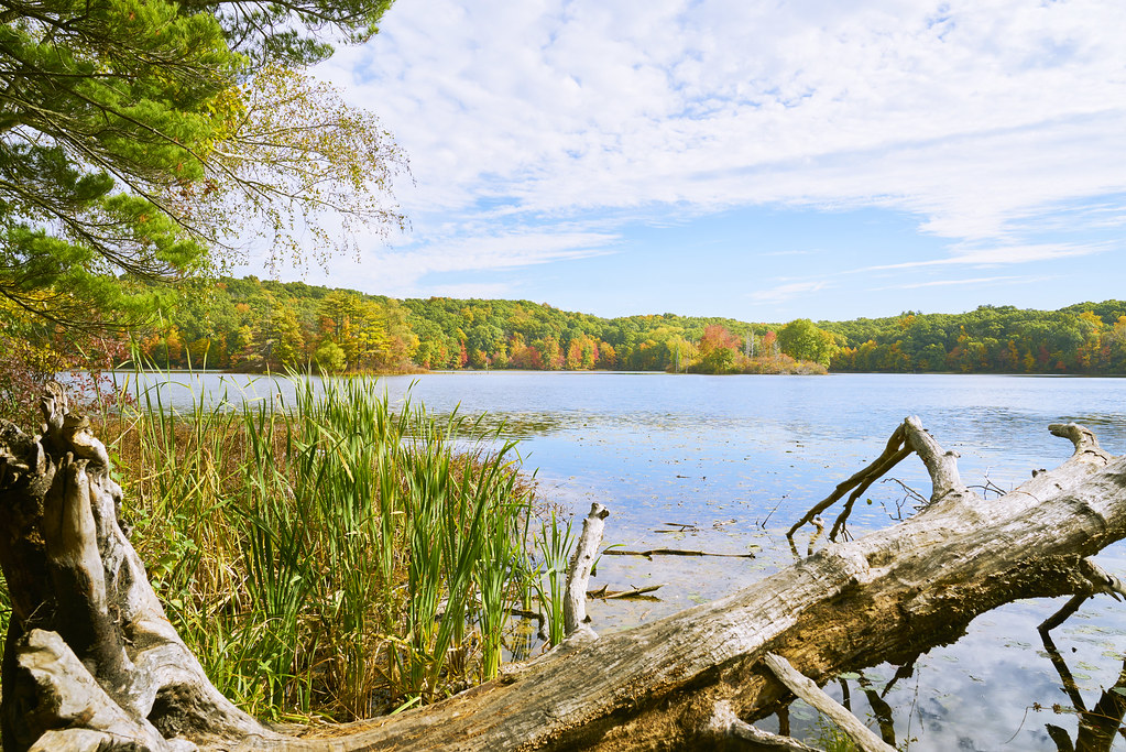 024952a Fall On Hall Lake Hall Lake in the Yankee Springs … Flickr