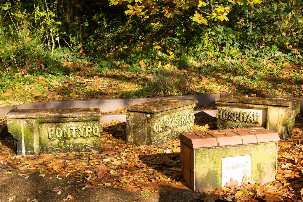 Pontypool Park in Autumn Wayne Hodge Flickr