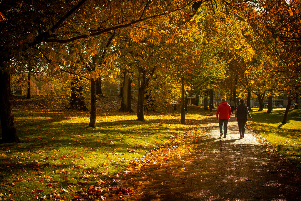 Pontypool Park in Autumn Wayne Hodge Flickr