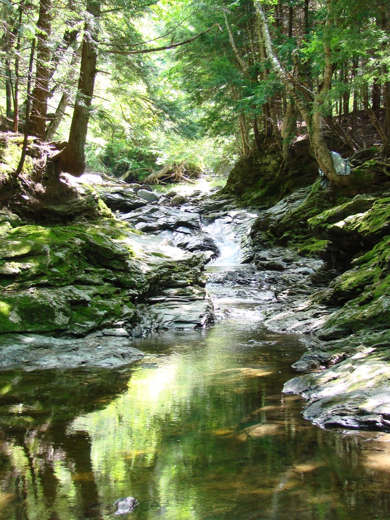 CHUTE DU RUISSEAU LAFLAMME SaintRémi de Tingwick, Centre … Flickr
