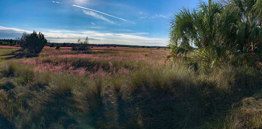 Elevation of The Highlands, Dade City, FL, USA Topographic Map