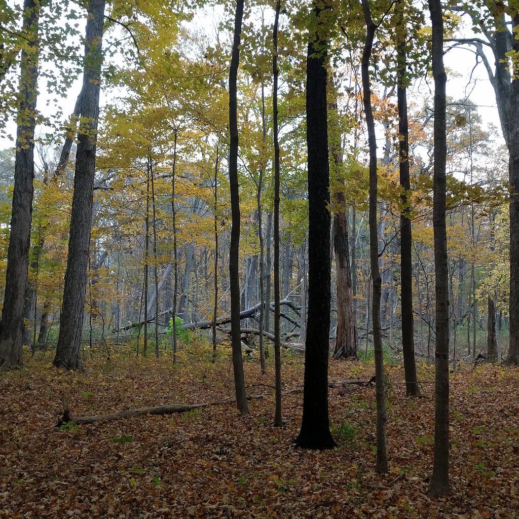 Ryerson Woods Signs of the (old) times Flickr