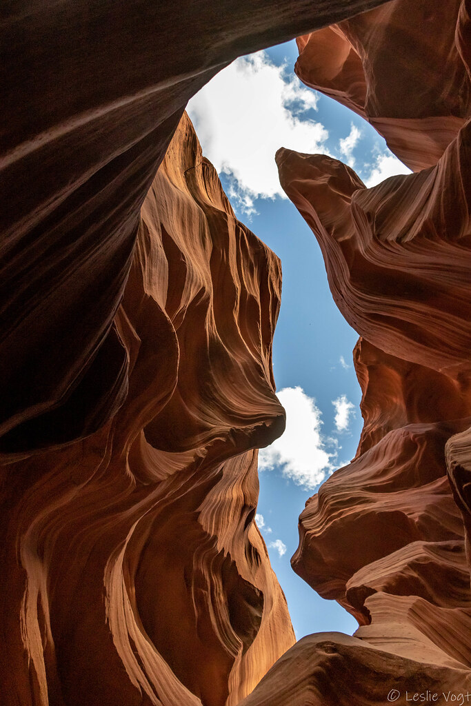 D79A1624 Leslie Vogt Flickr