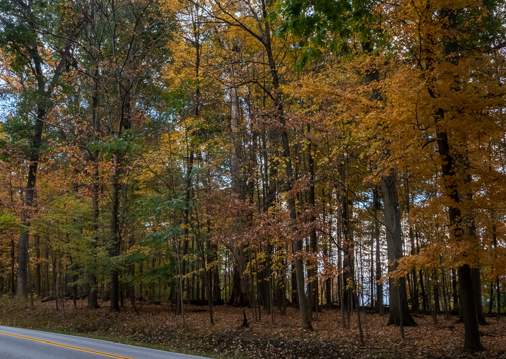 Bedford Fall Foliage Festival 2025 Location Bedford Fall Foliage 2025 Lawrence C. Beckley