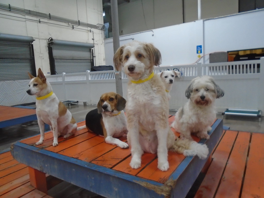 065 Dr. Boyd's Irvine Flickr