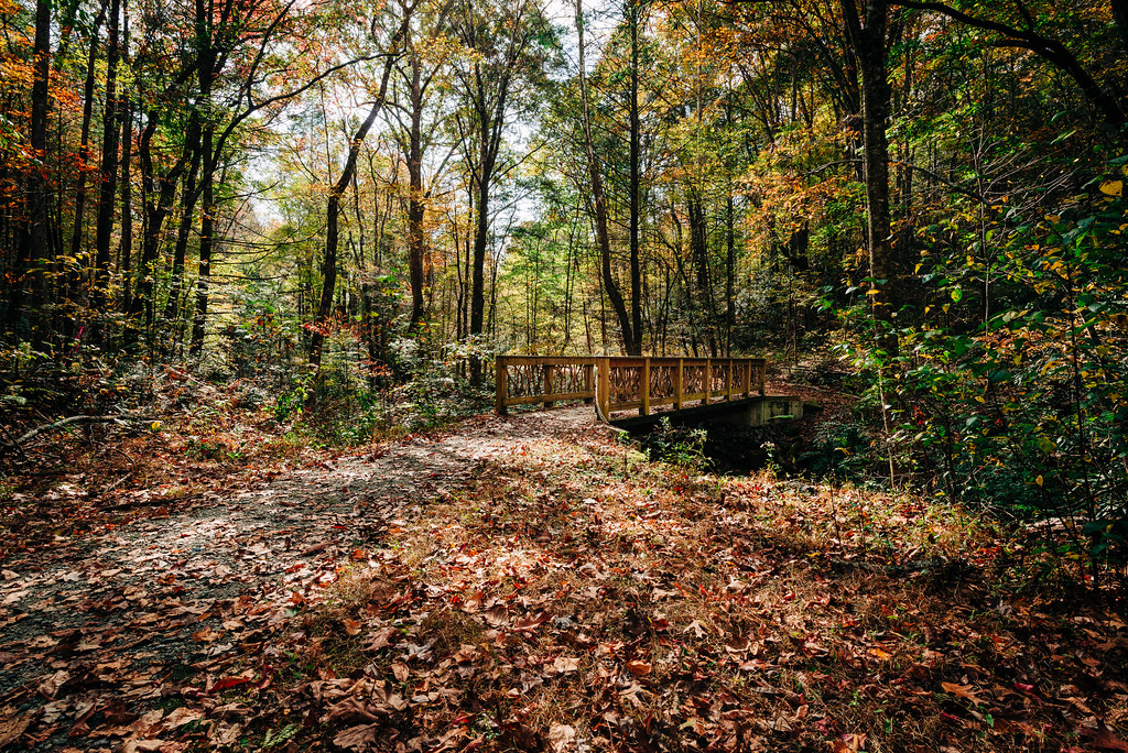 Buffalo Creek Park Buffalo Creek Park in North Carolina. Richard