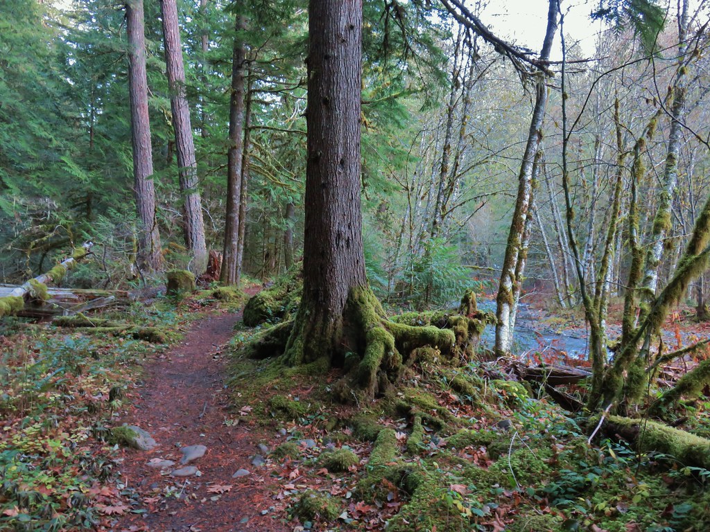 Alder Flat Campground wanderingyuncks