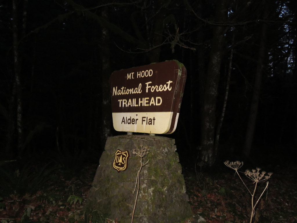 Alder Flat and the Riverside Trail 11/09/19 wanderingyuncks