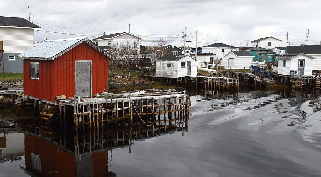 Isle Aux Morts Isle Aux Morts, NL November 2019 394A3453 Joe