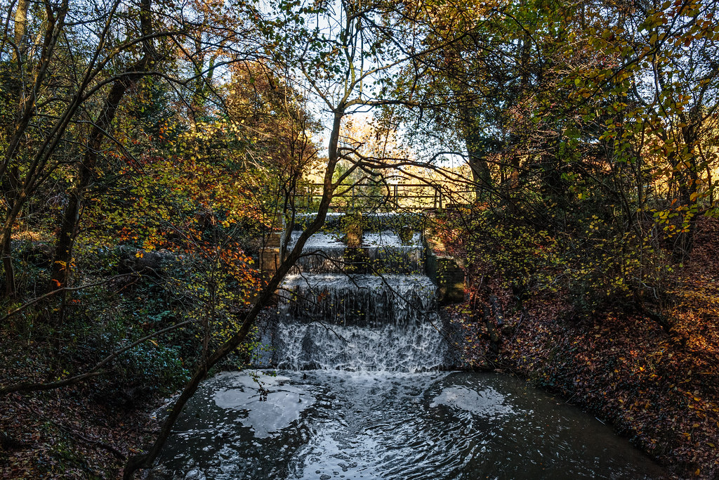 Run off... Beech Hill Lake North London Next time,… Flickr