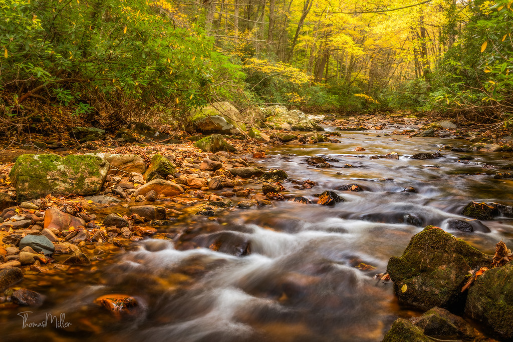 Laurel Fork Laurel Fork in the Pond Mountain Wilderness ar… the