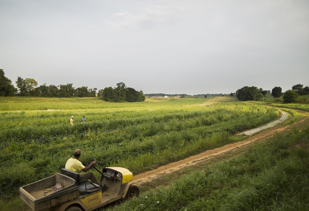 Cool Jobs Organic Farming Workers move between fields. Fa… Flickr