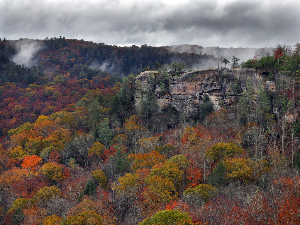 Autumn At The Point Hanson's Point Red River Geologi… Flickr