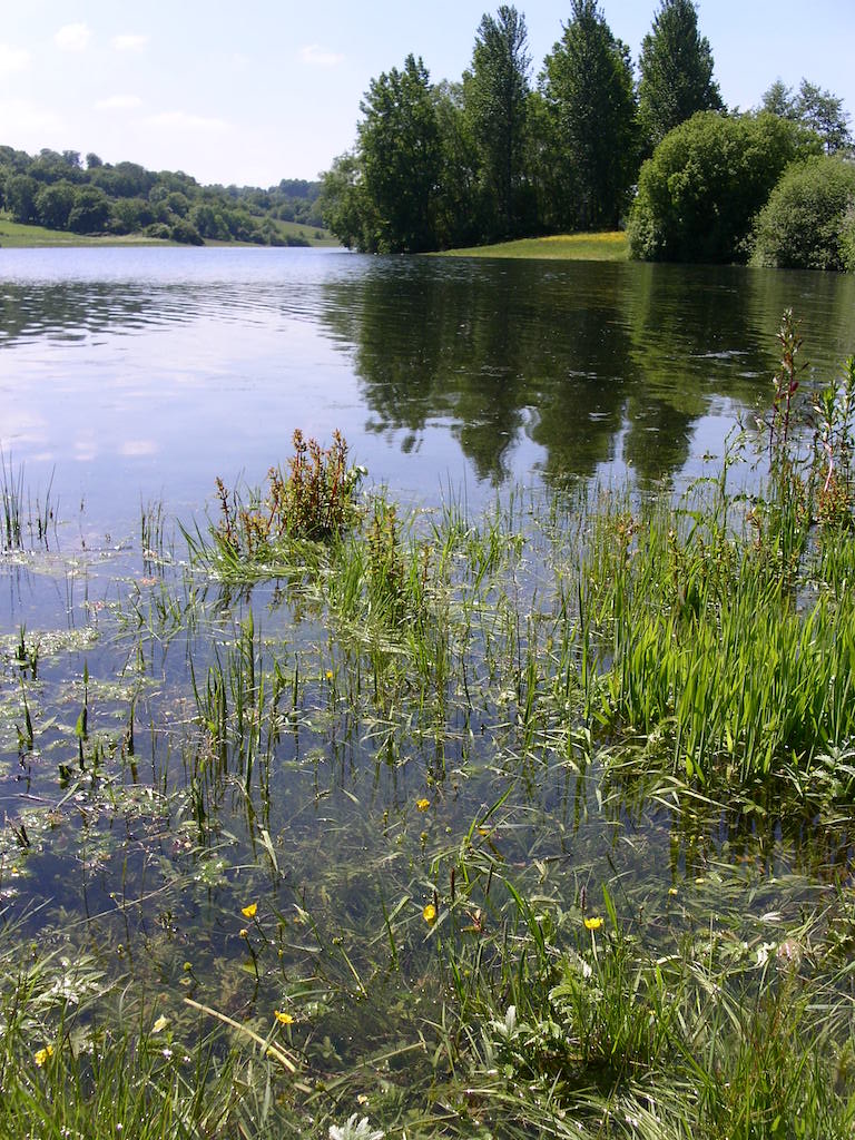 Wadhurst via Bewl Water Circular walk