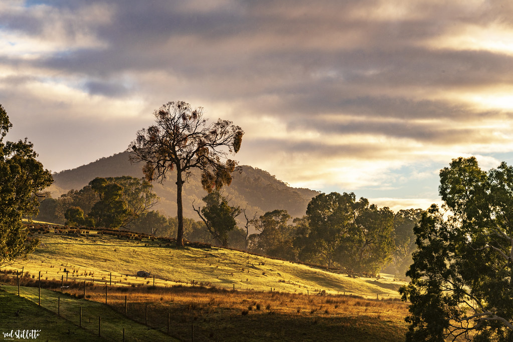 A Land Of Sweeping Plains Sunrise, Mansfield, Victoria. Flickr