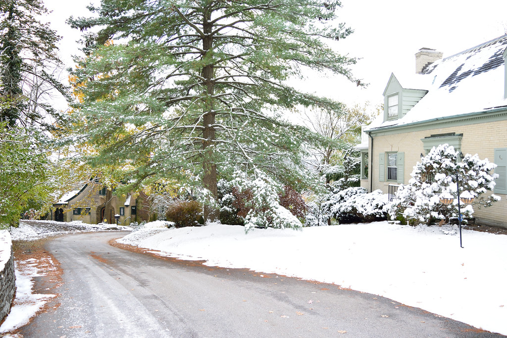 DSC_7968 Kennedy Heights, Cincinnati. kennyb2b Flickr