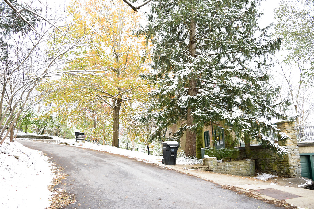 DSC_8413 Kennedy Heights, Cincinnati. kennyb2b Flickr