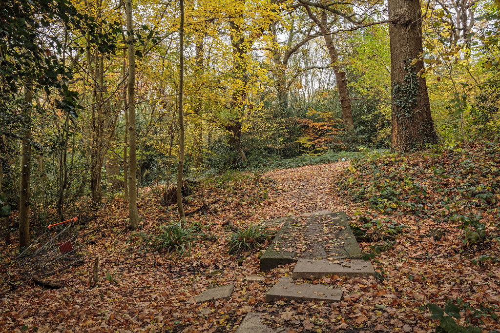 Into the woods... Beech Hill Lake North London PhredKH Flickr