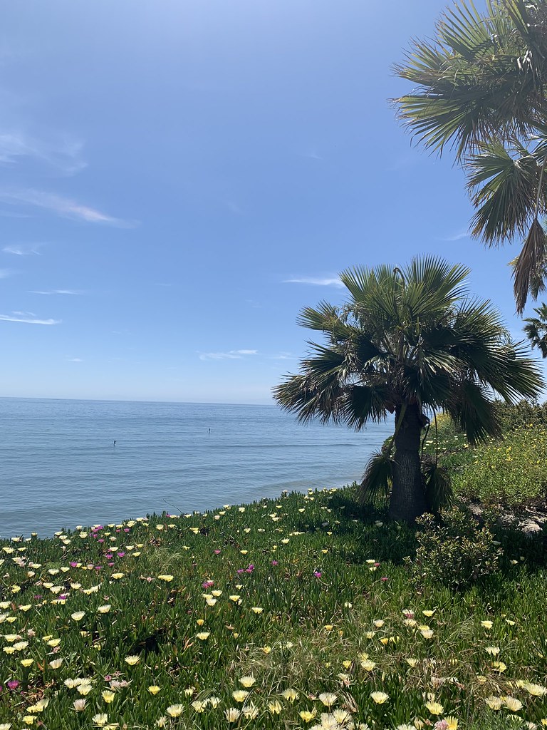 Untitled 20esalaskitenafly.k12.nj.us Flickr