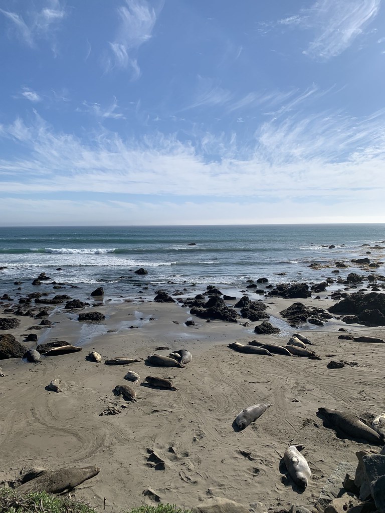 Untitled 20esalaskitenafly.k12.nj.us Flickr