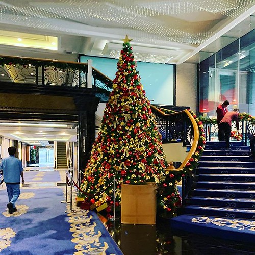 When Was The Earliest Account Of A Christmas Tree Earliest Christmas tree via Instagram ift.tt/2NLFe7p Flickr