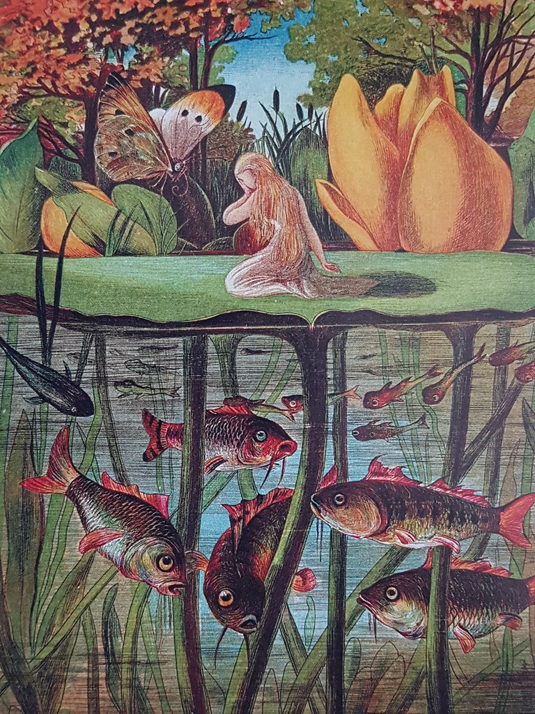 Duimelijntje op het rozenblad E Vere boyle 1872 anaconda 1