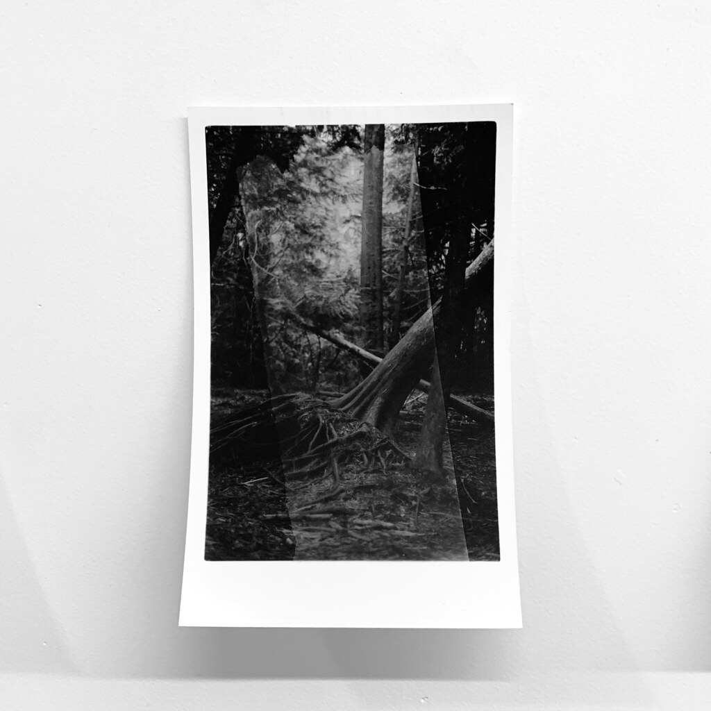 Millicent Young Art, Design and Architecture