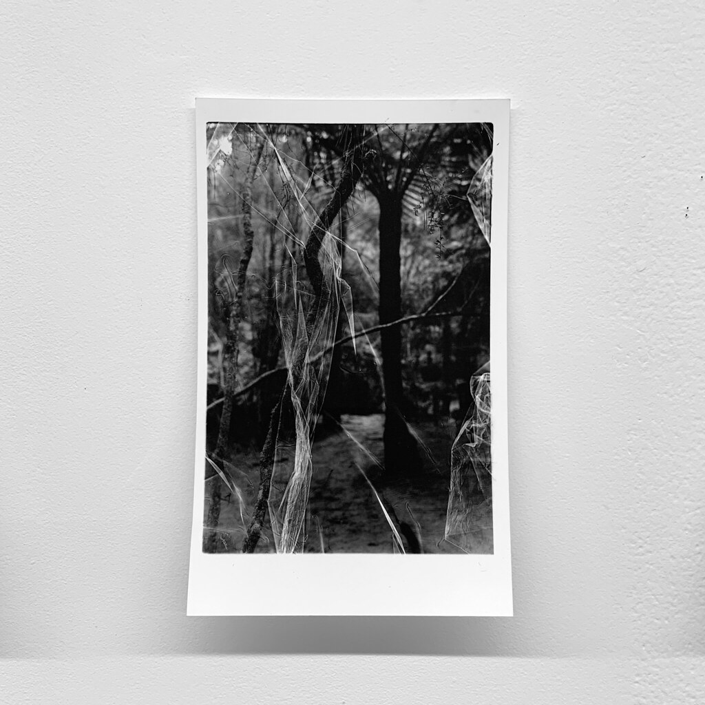 Millicent Young Art, Design and Architecture