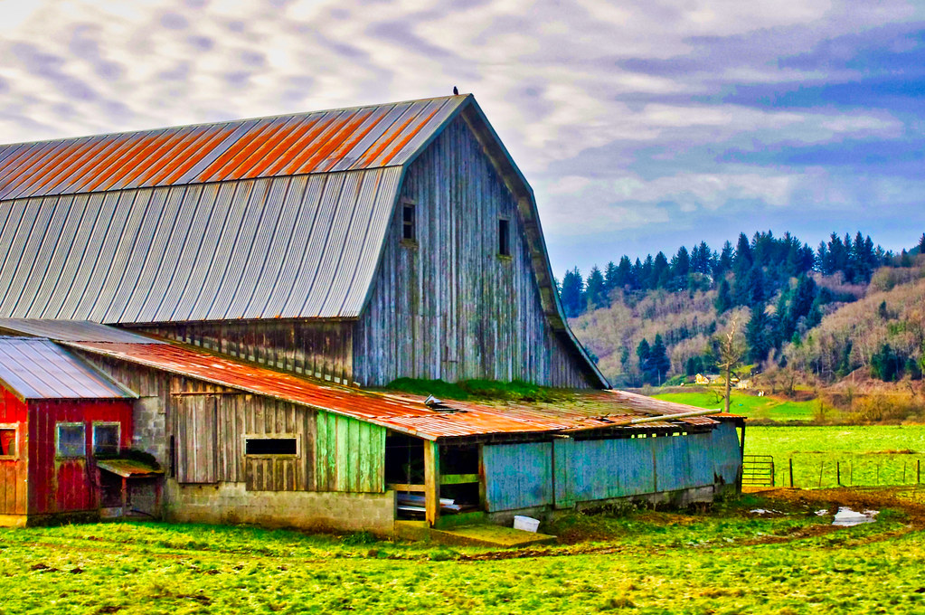 Dairy Barn, Dairy Farms, Tillamook OR Please see my blog … Flickr