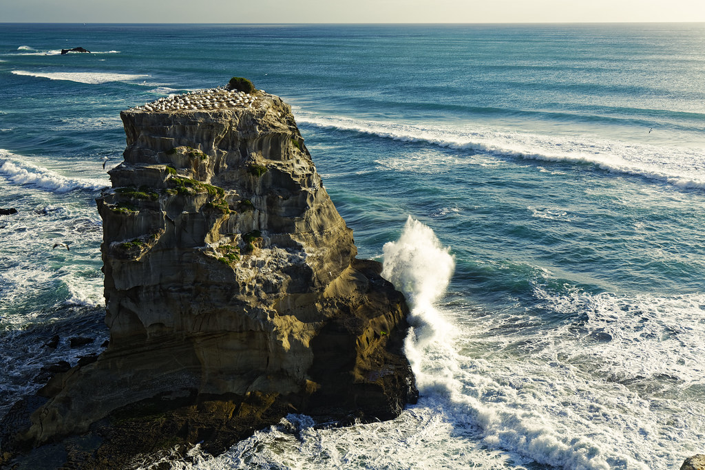 Elevation of Taylor Road, Huapai, Waimauku, New Zealand Topographic