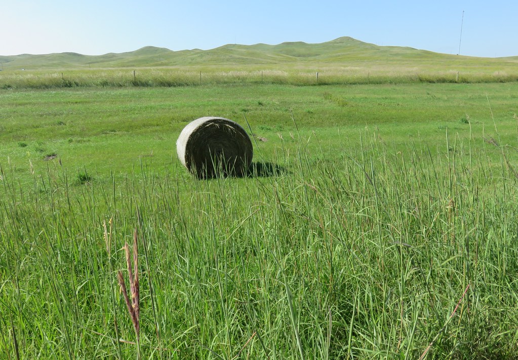West River Landscape (Lyman County, South Dakota) As seen … Flickr