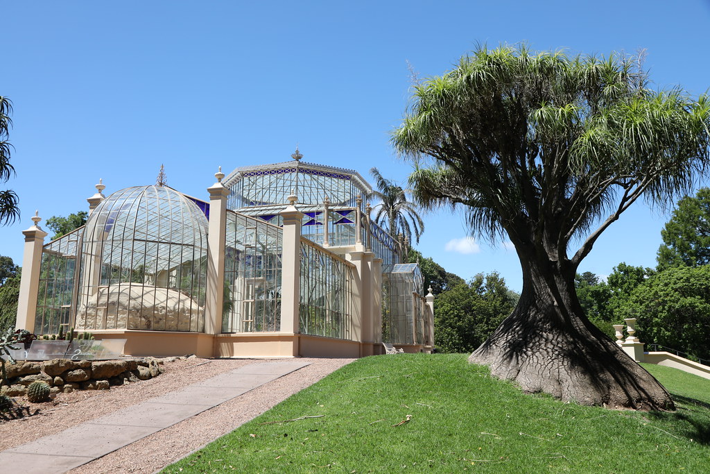 Palm House, Adelaide Botanic Gardens, Adelaide, South Aust… Flickr