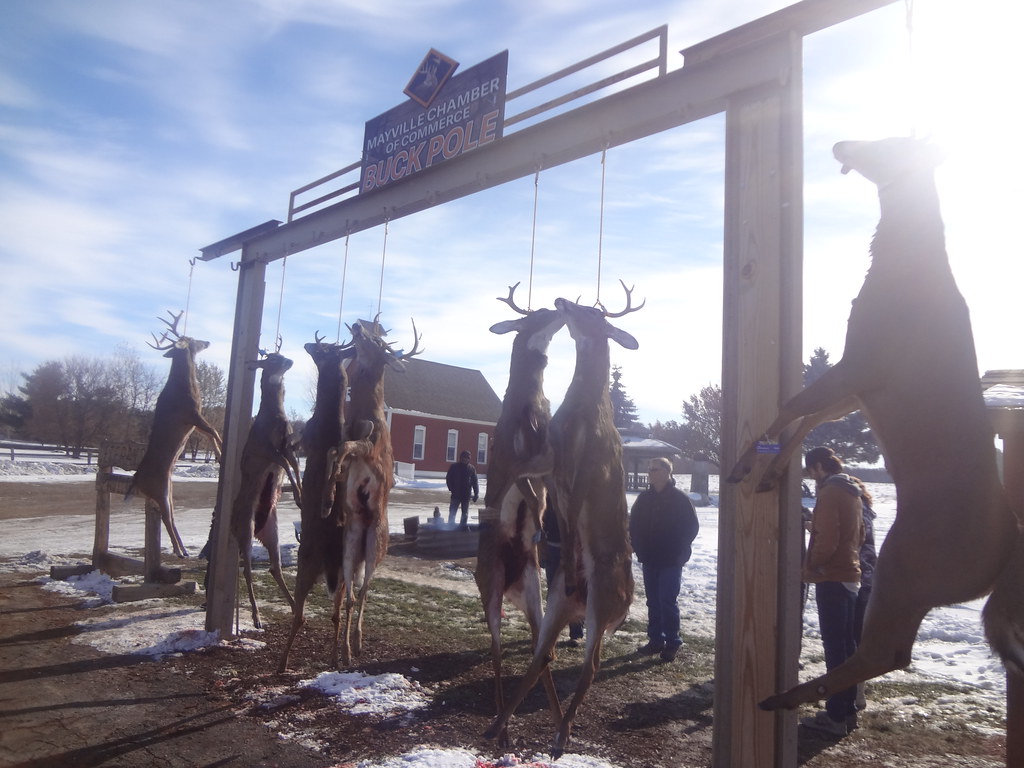 MidMichigan Buck Pole 201 VasenkaPhotography Flickr