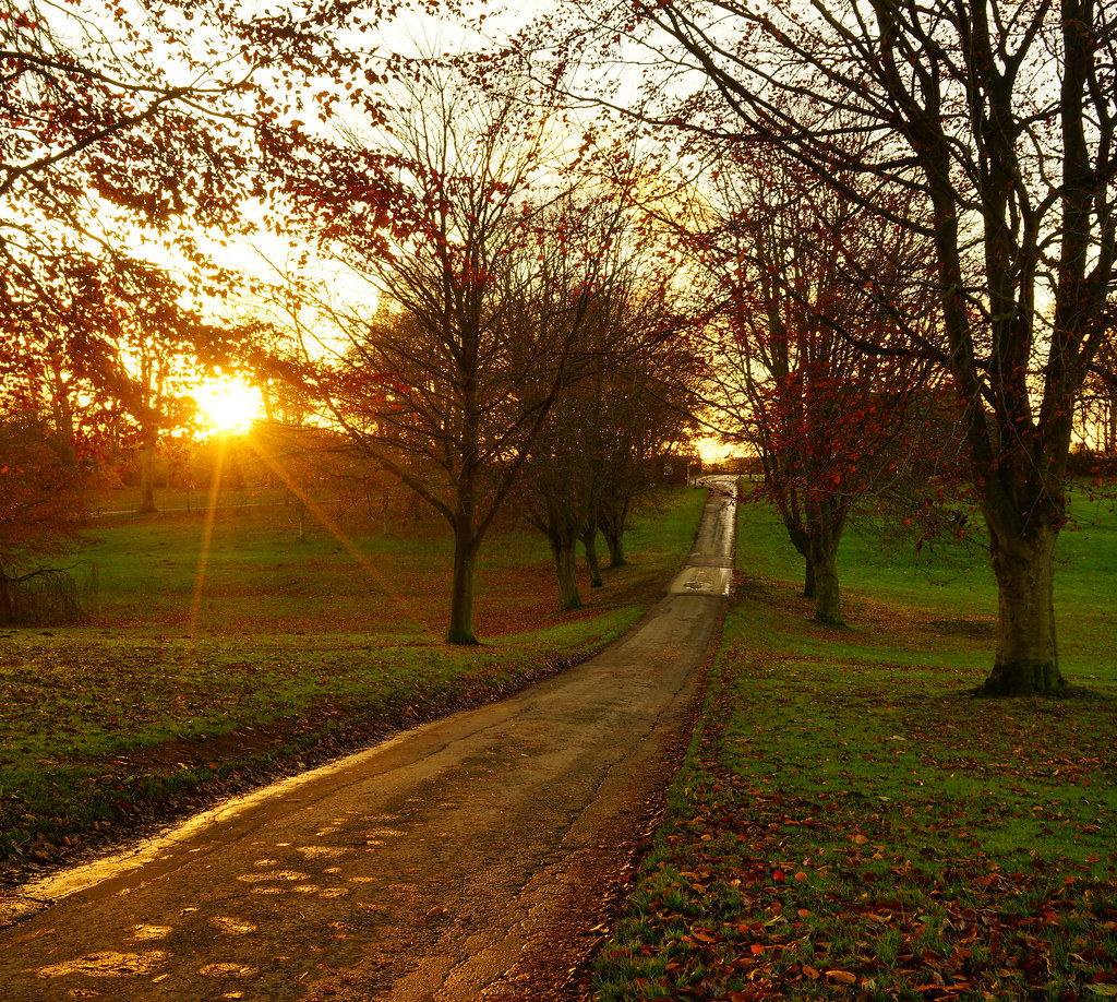 Sunset Avenue Bridlington's Sewerby Park in Autumn. Never … Flickr