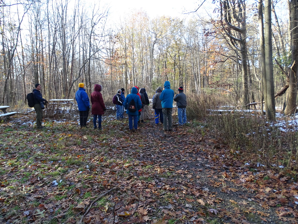 Woodlands of Bedford Northside Exploration 111619 Flickr