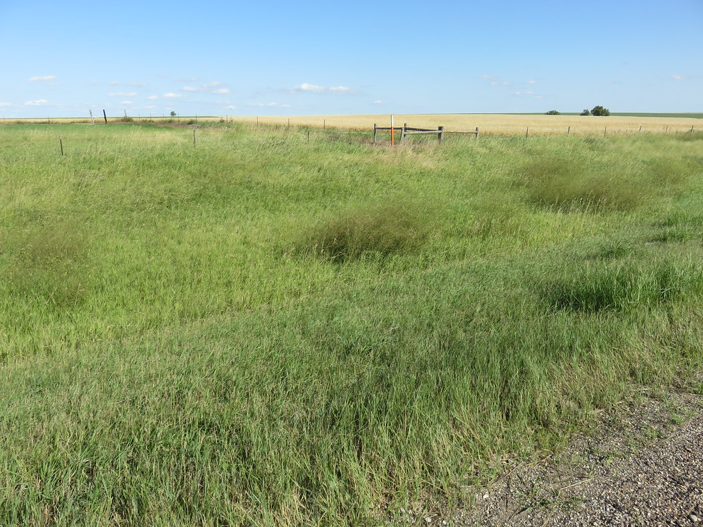 East River Landscape (Sully County, South Dakota) As seen … Flickr