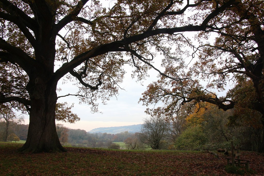 Photos Greensand Way 4 Dorking to Reigate Walk SWC